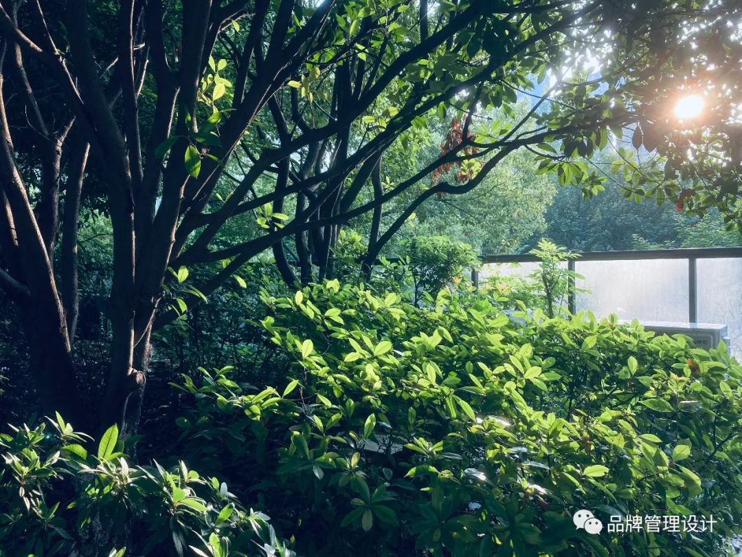 1685429914567737.jpg q2.jpg