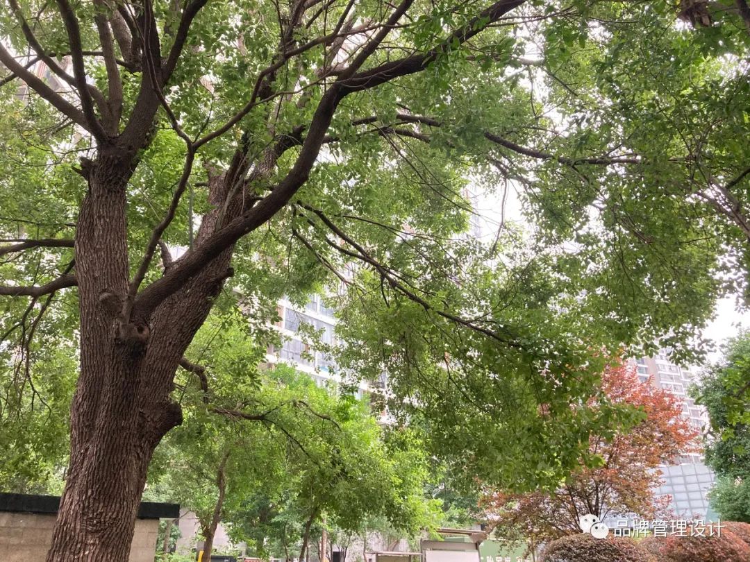 1690783187946571.jpg 013.jpg